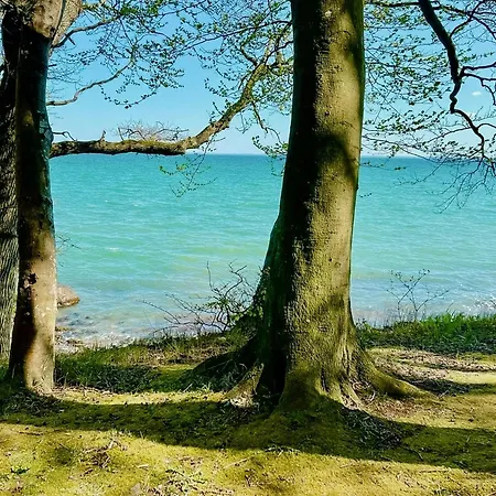 Art And Panoramic View At Trelde Naes Vakantiehuis *